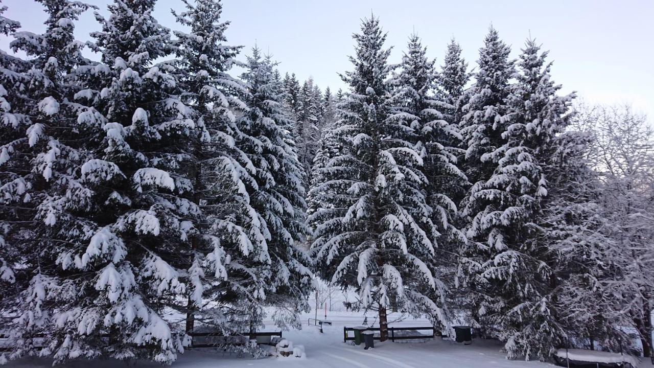 Am Kaltenbach - Spital Am Semmering, Stuhleck 外观 照片