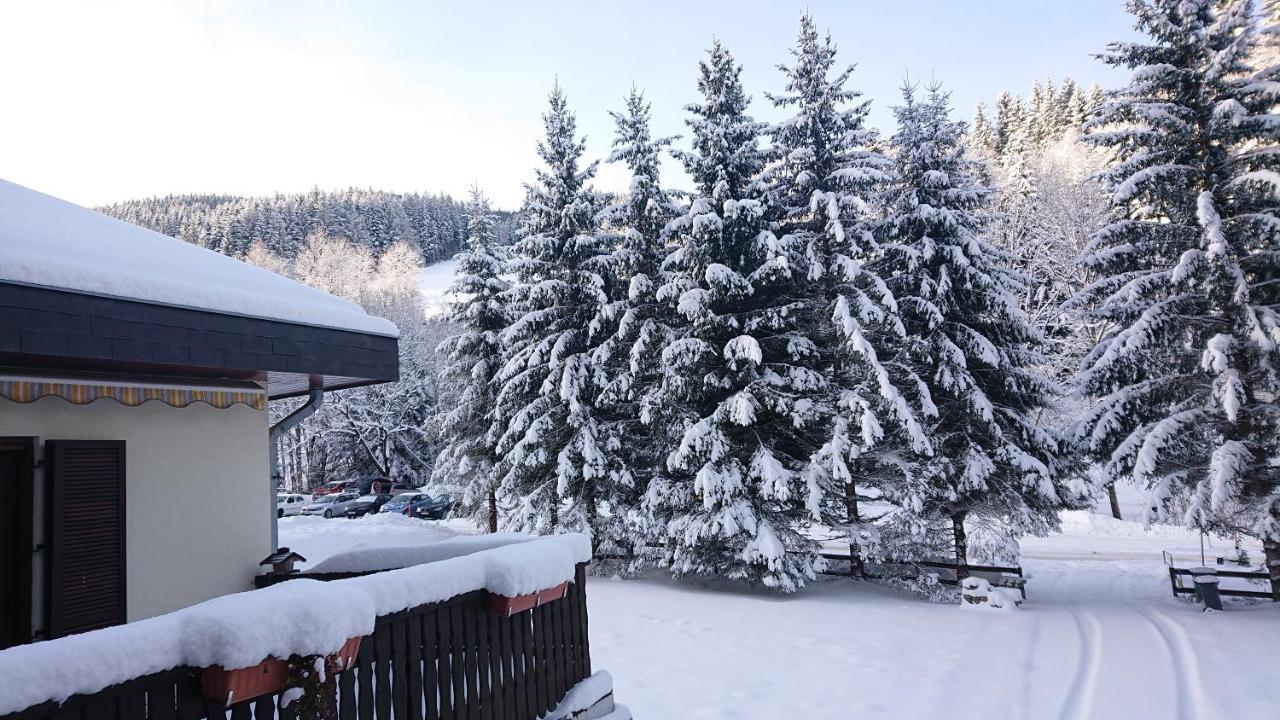 Am Kaltenbach - Spital Am Semmering, Stuhleck 外观 照片