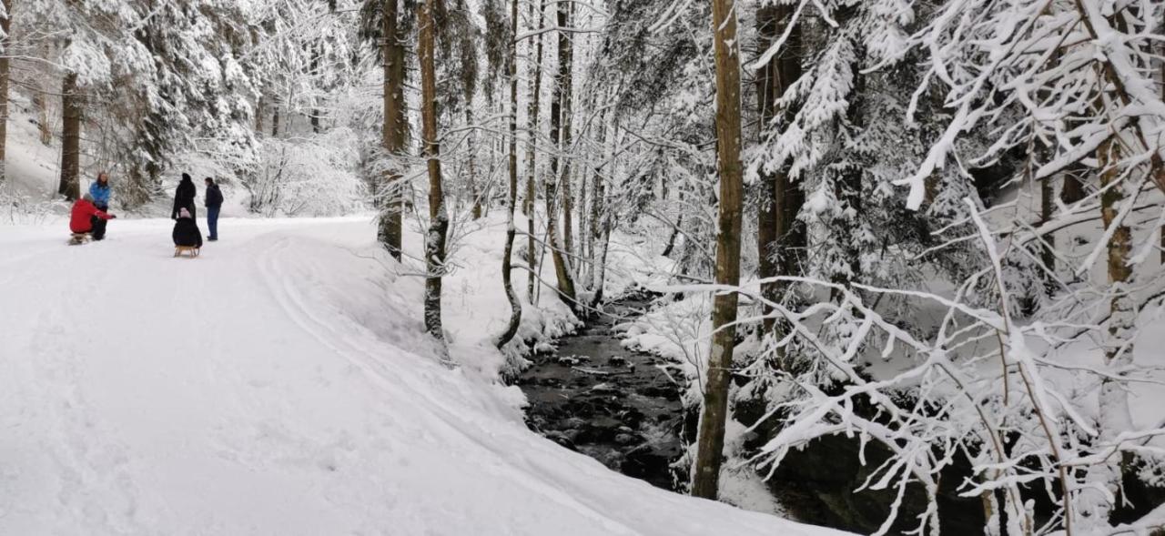 Am Kaltenbach - Spital Am Semmering, Stuhleck 外观 照片